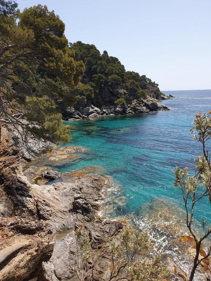 Villa L'Arbanaise Vue Mer Piscine Presqu'Ile Giens By Hc Hyères Екстериор снимка